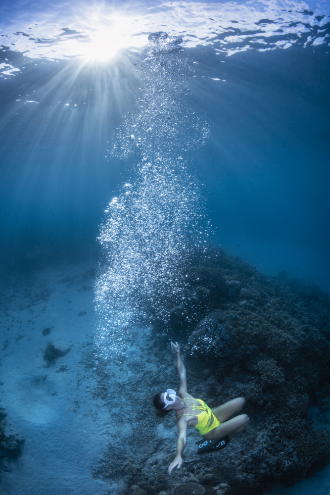 Lady of the reef von Barathieu Gabriel