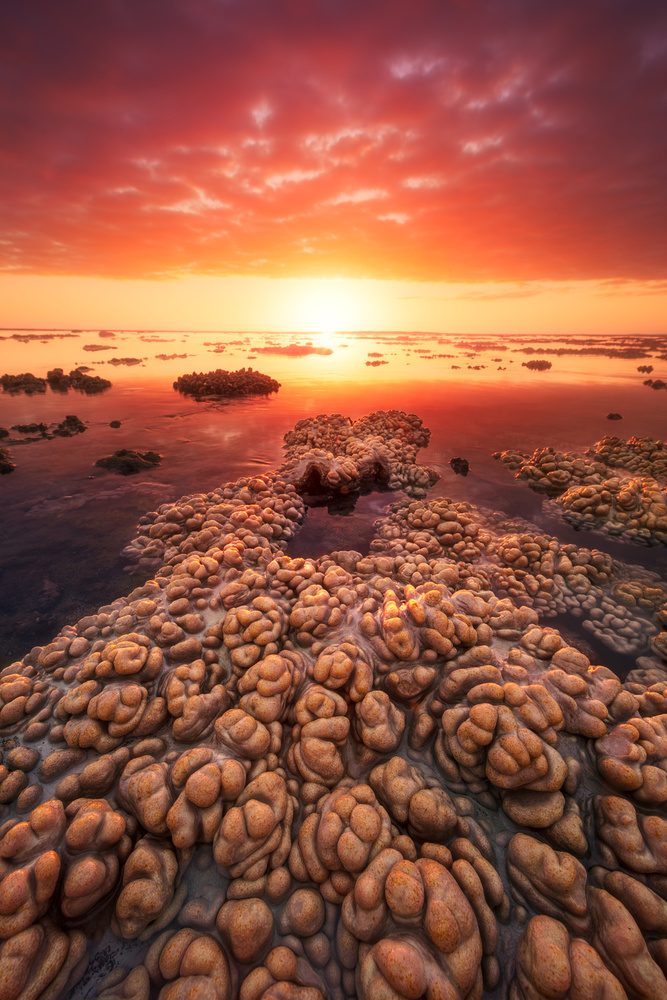 Low tide on the lagoon of Saint Leu. von Barathieu Gabriel