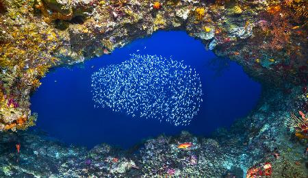 Underwater cave