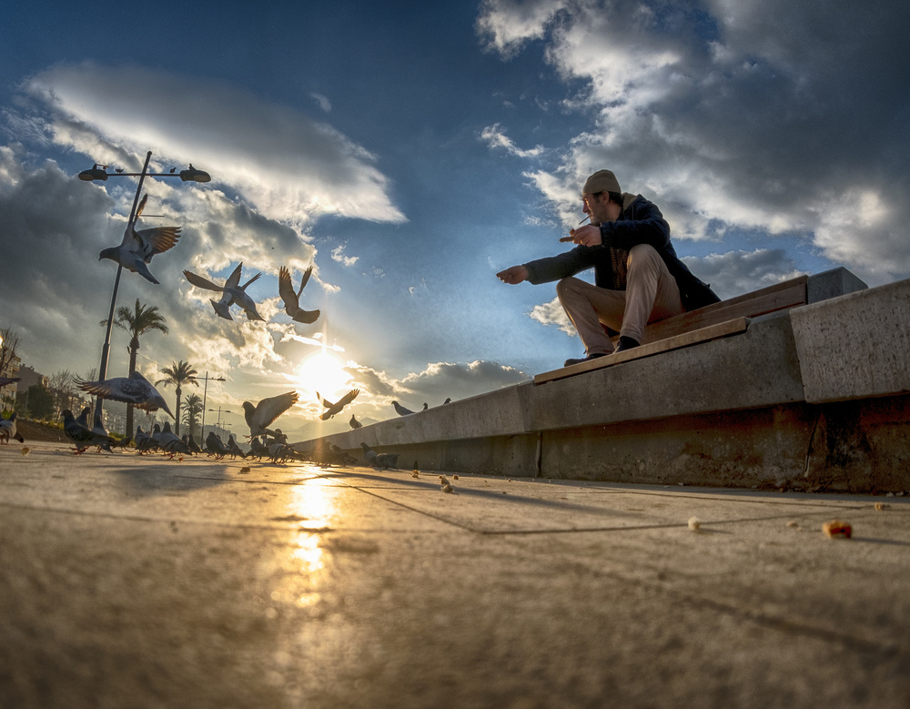 Feeding the seagulls von bari