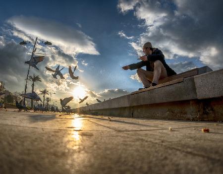 Feeding the seagulls