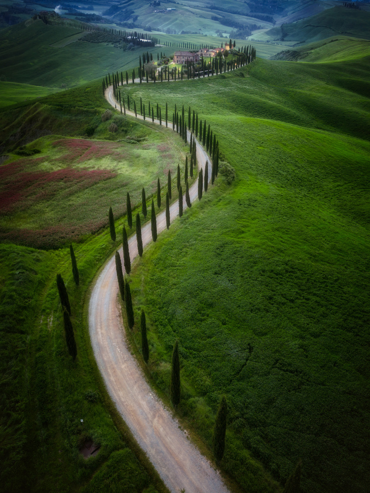 Orcia Valley I von Bartolome Lopez