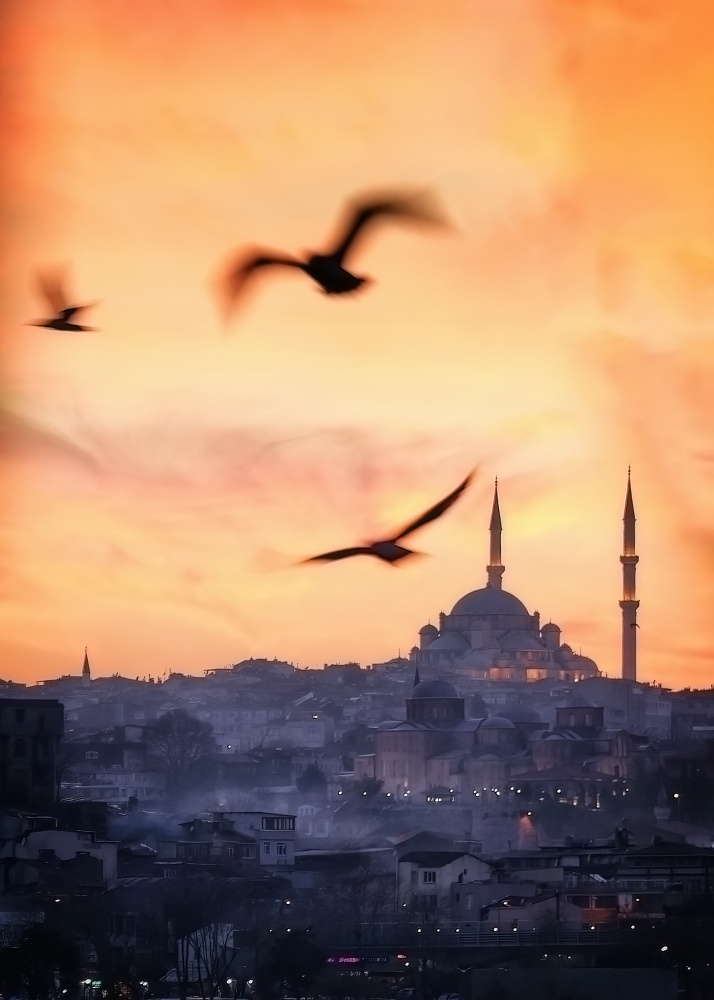 Sunset in Istanbul von Bartolome Lopez