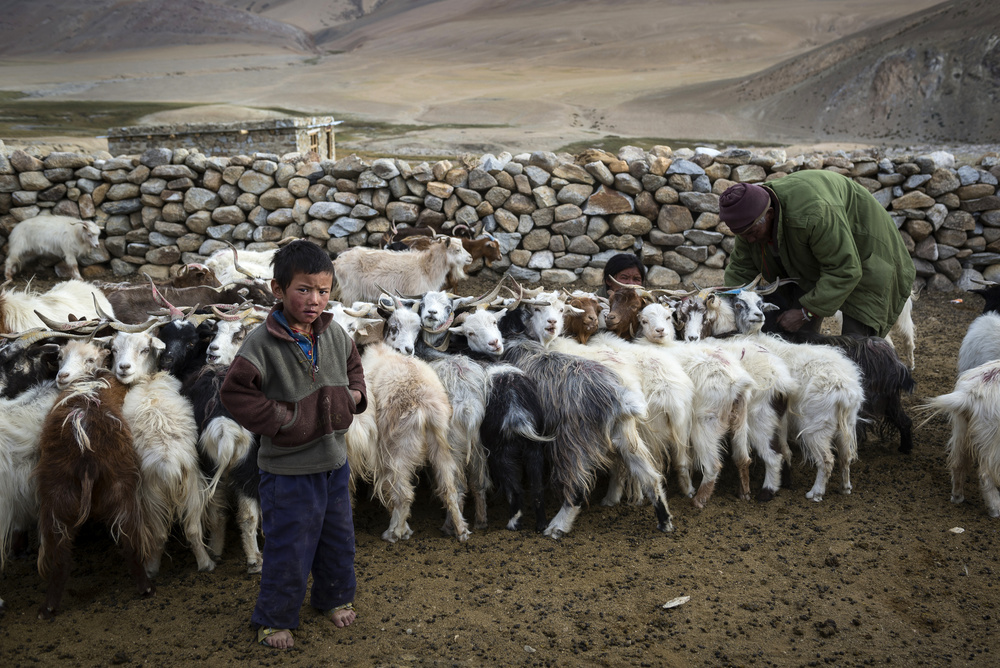 Nomadic Boy Life von Basem Al-Qasim