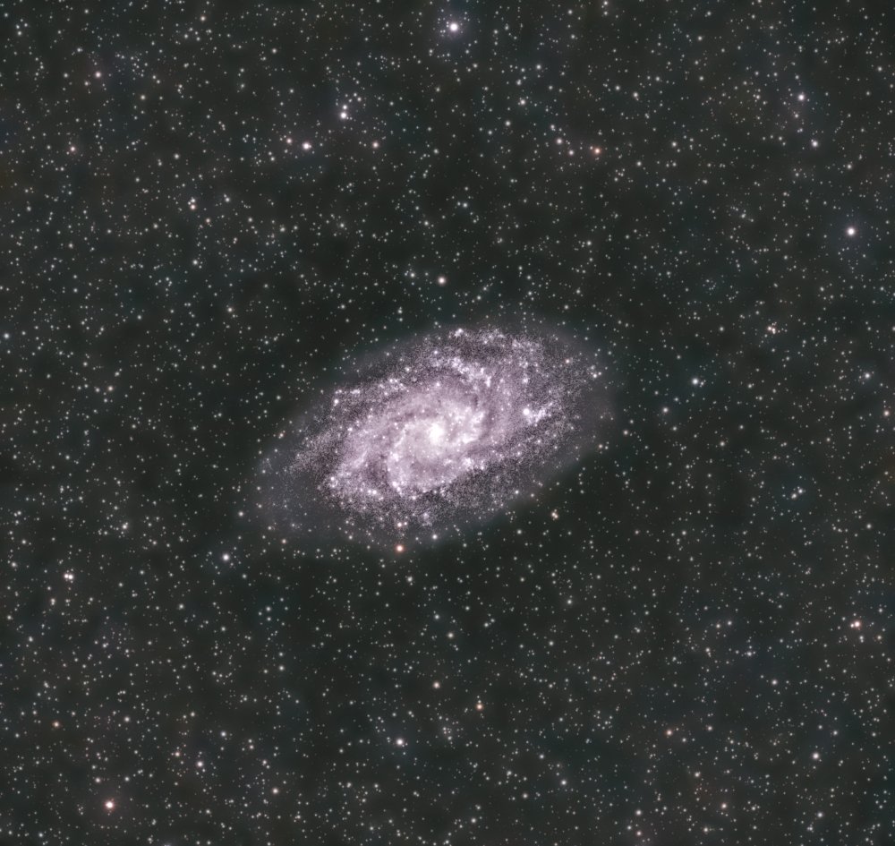 The Triangulum Galaxy von Basudeb Chakrabarti