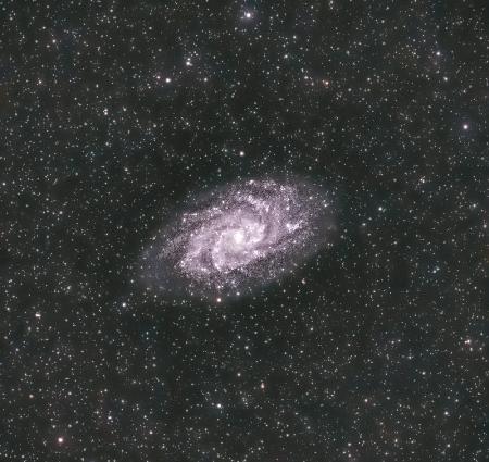 The Triangulum Galaxy