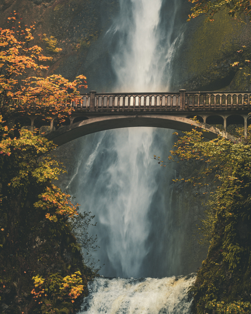 Rivendell IRL von Behdad Pournader