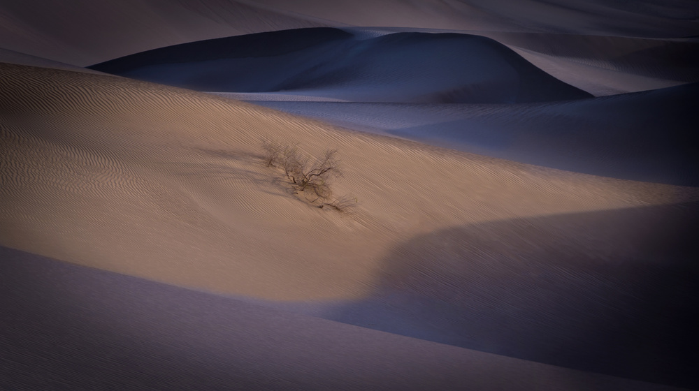 Light of hope von Behnamnasri