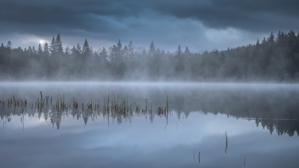 The morning fog von Benny Pettersson