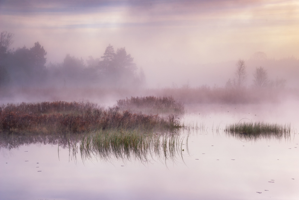 The day dawns von Benny Pettersson