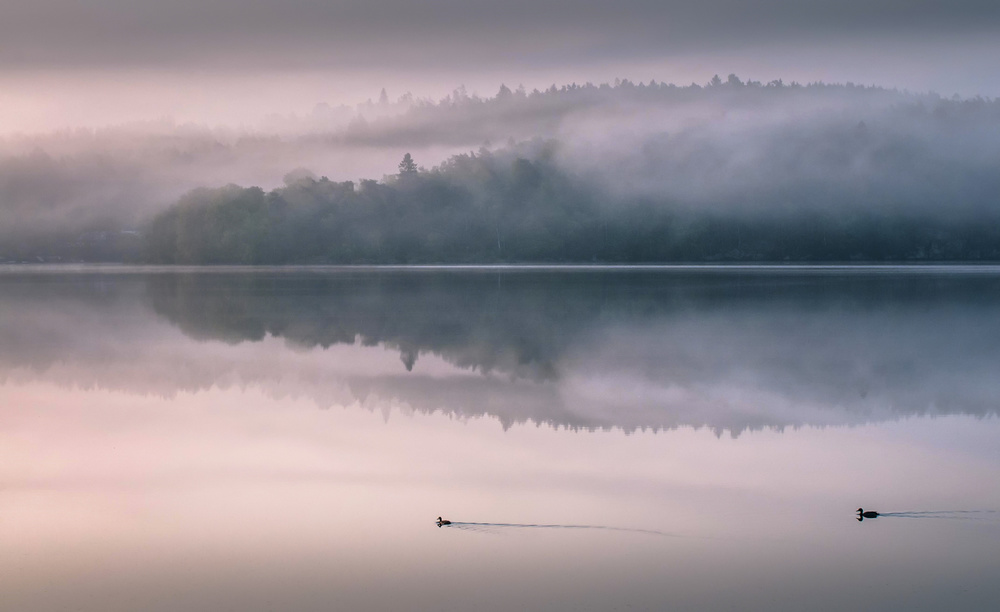 A little while in the morning von Benny Pettersson