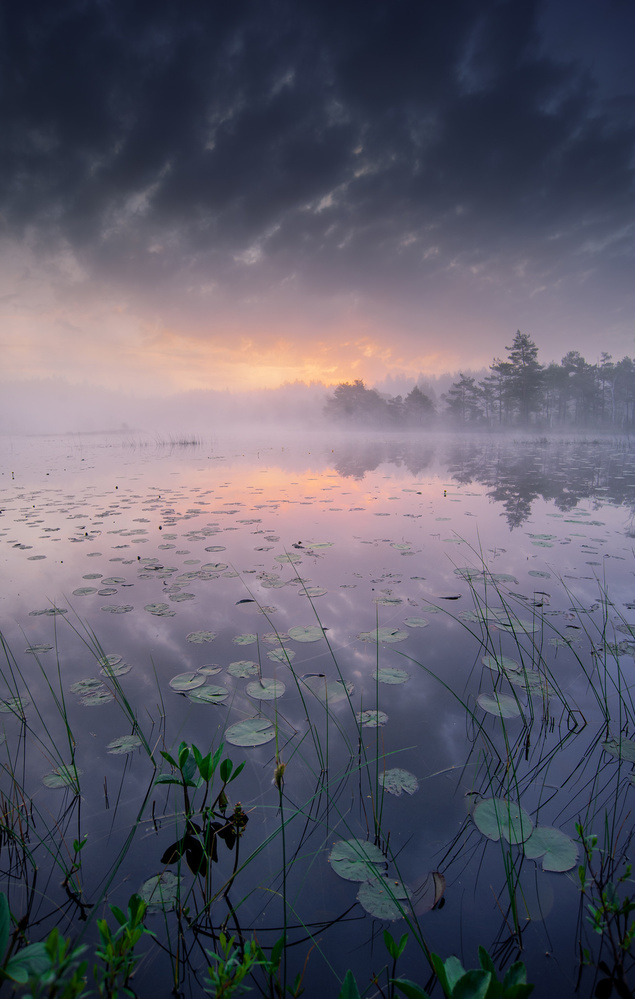 One morning I woke up von Benny Pettersson