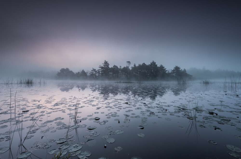 Dawn at lake Haketjärn von Benny Pettersson