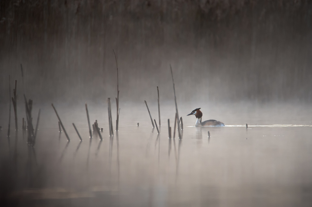 Quiet morning von Benny Pettersson