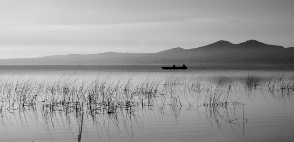 fishermens  morning von Bernardo Dadic