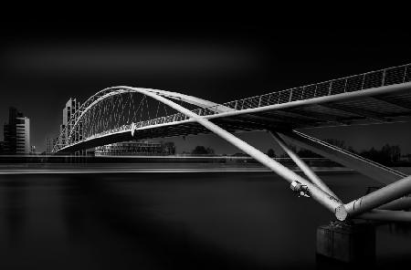 The excursion boat under the Three-Country Bridge Weil am Rhein