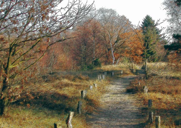 Wanderwg Boberg in Hamburg von Bernd Wieczorek