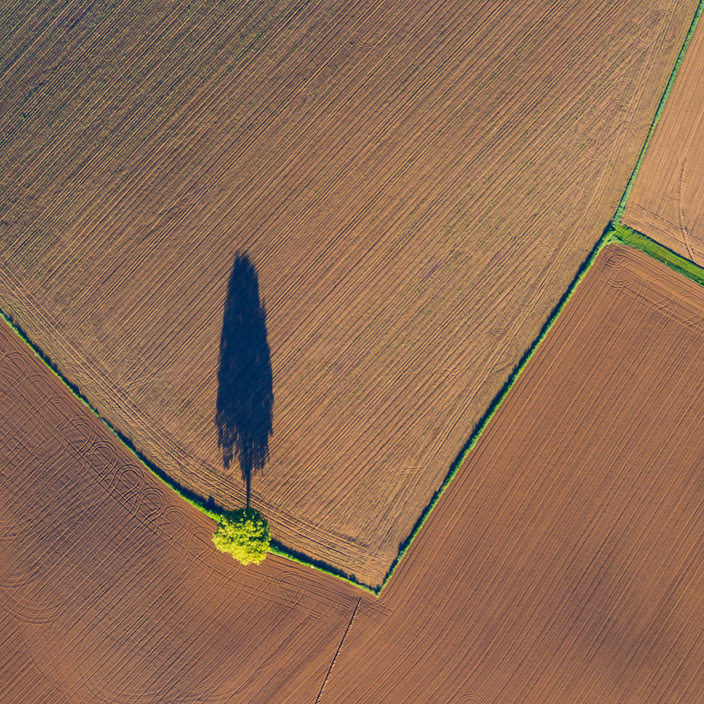 In the shadow of a tree von Bertram Schemel