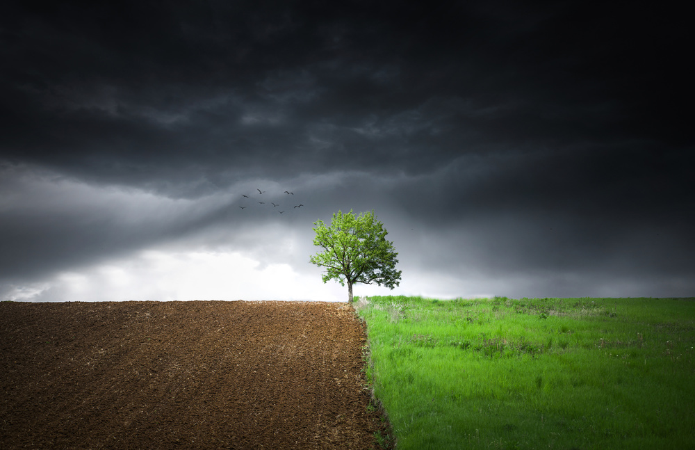 Lonely tree against a dramatic sky! von Bess Hamiti