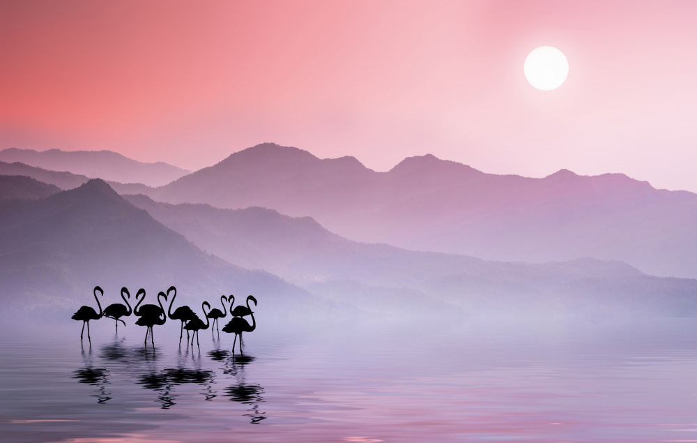 Flamingos Sunset von Bess Hamiti