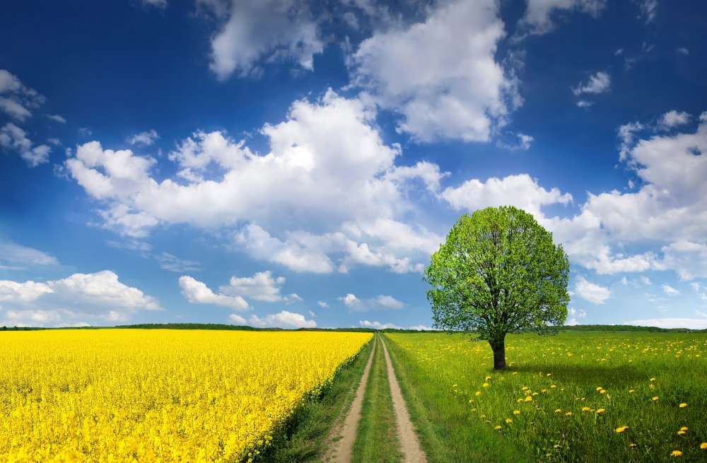 Spring von Bess Hamiti