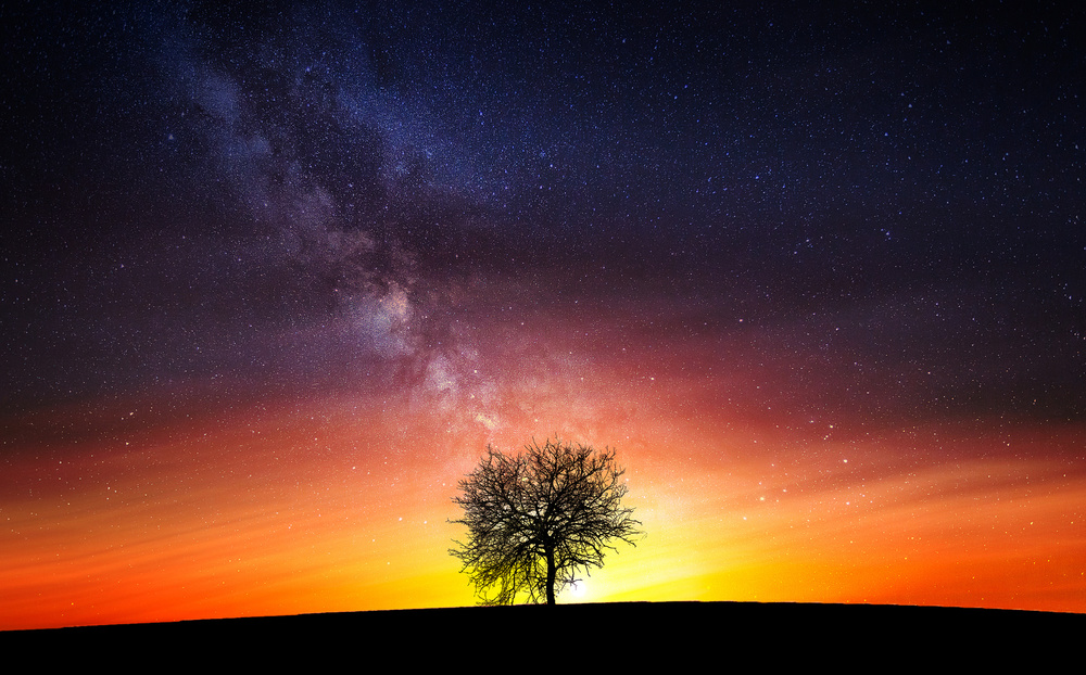 Milky Way von Bess Hamiti