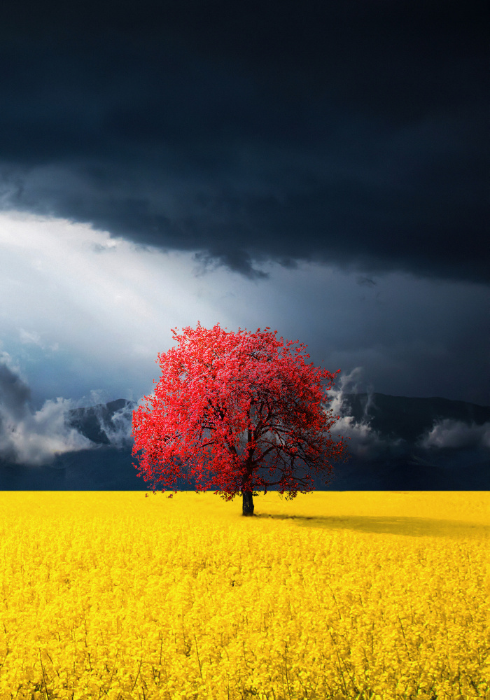 Red tree von Bess Hamiti