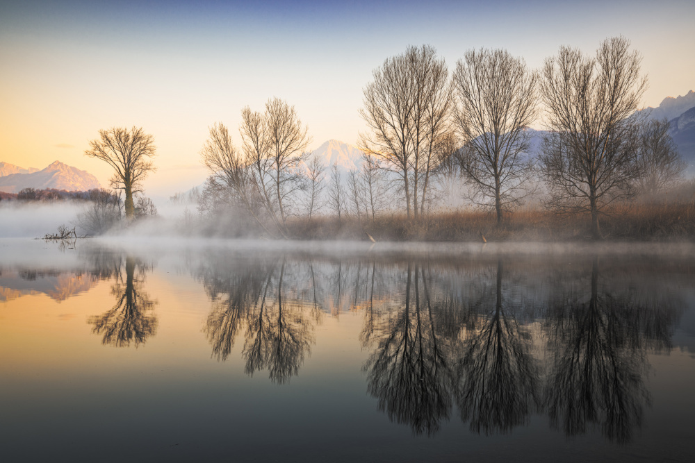 Un mattino dinverno von Biffi Pietro