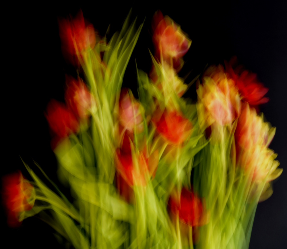 Impressionist Flowers von Bilge Paksoylu