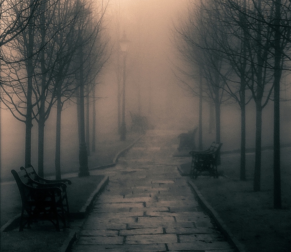 Misty Path von Bill Eiffert