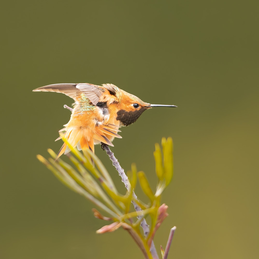 Stretching von Bill Lu