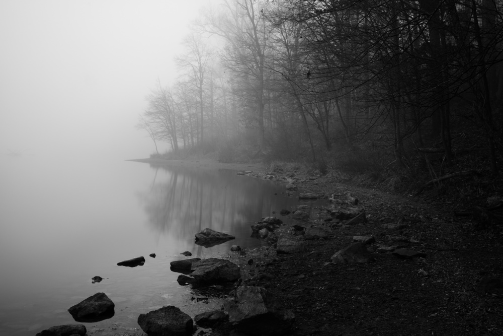 Foggy Lake von Binbin L.