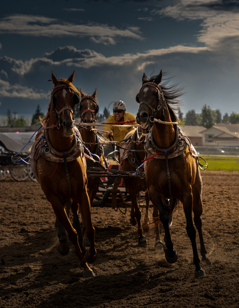 The power and the speed, Chuckwagon racing von Bing Li