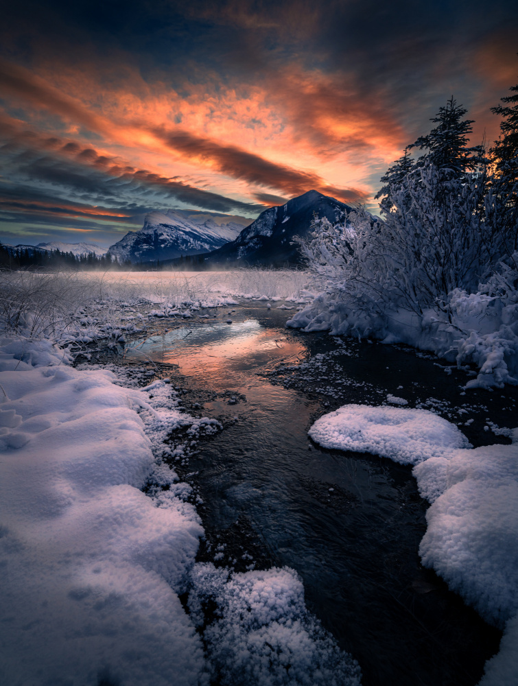 A golden moment von Bing Li