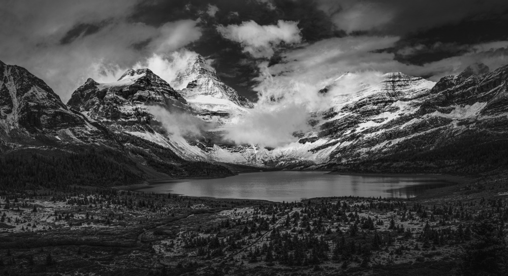 A summer day in Mt. Assiniboin von Bing Li