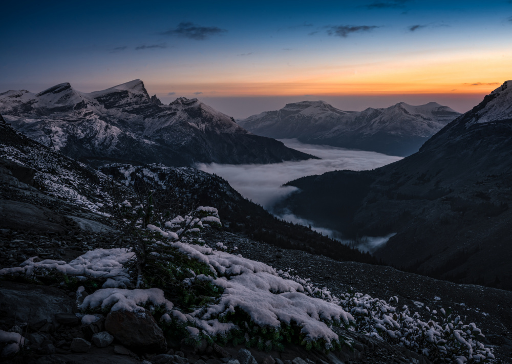 A winter-like summer morning at Bow hut summit von Bing Li