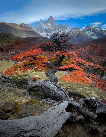 Autum in Fitz Roy