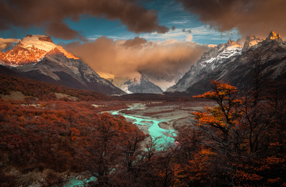 Autumn symphony von Bing Li