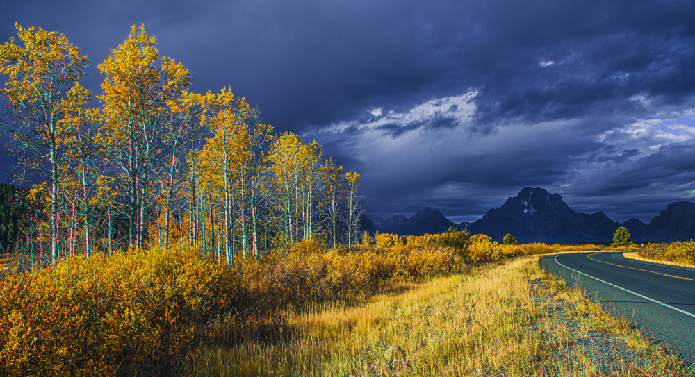 Fall Colors before a Storm von Bing Yu