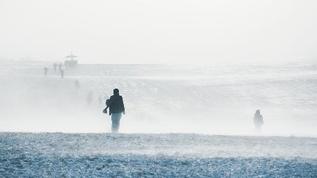 Windy weather