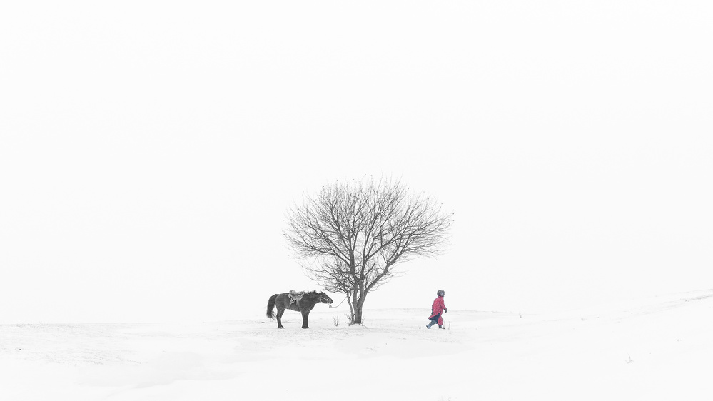 Inner Mongolia Wrangler von Bingo Z