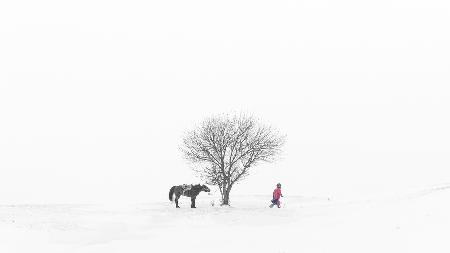 Inner Mongolia Wrangler