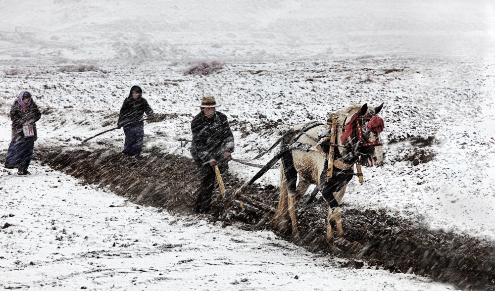 Spring Snow von BJ Yang