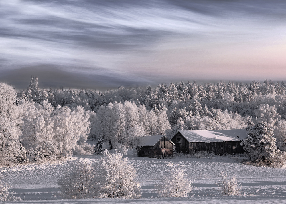 Winter morning von Bjorn Emanuelson