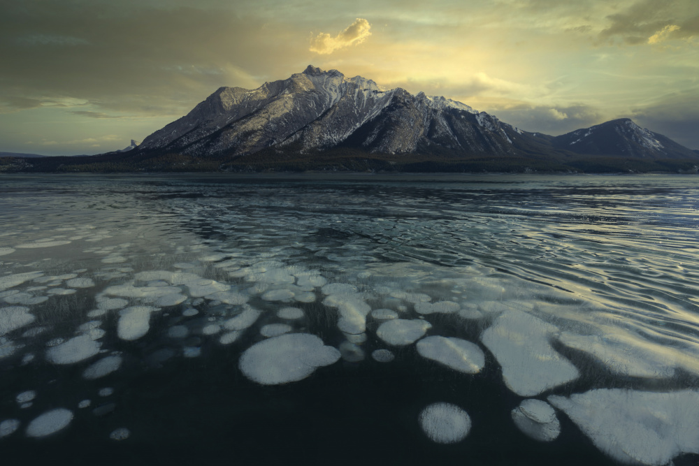 Landscape in Abraham Lake von Bobby Zhao