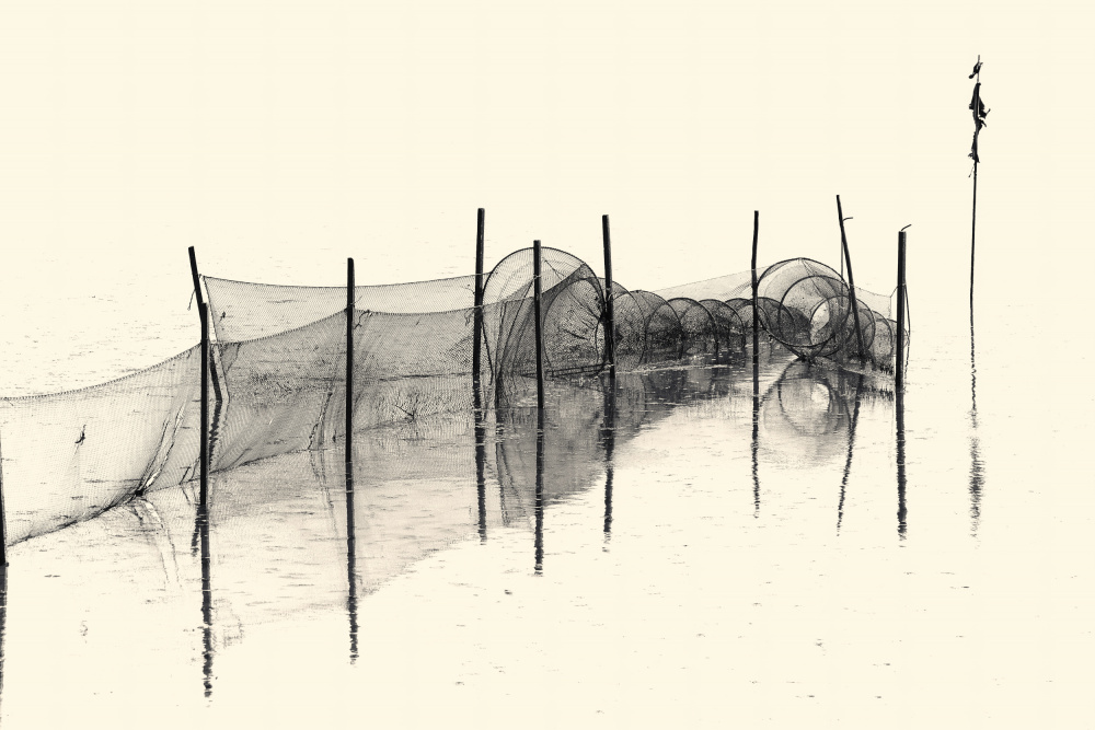 Fish Trap BW von Bodo Balzer