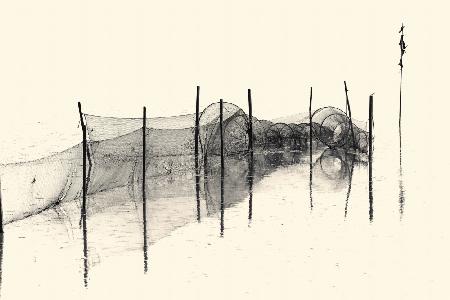 Fish Trap BW