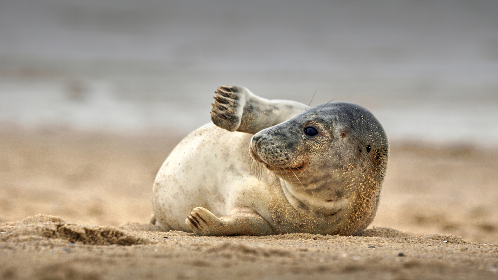 Hello World von Bodo Balzer