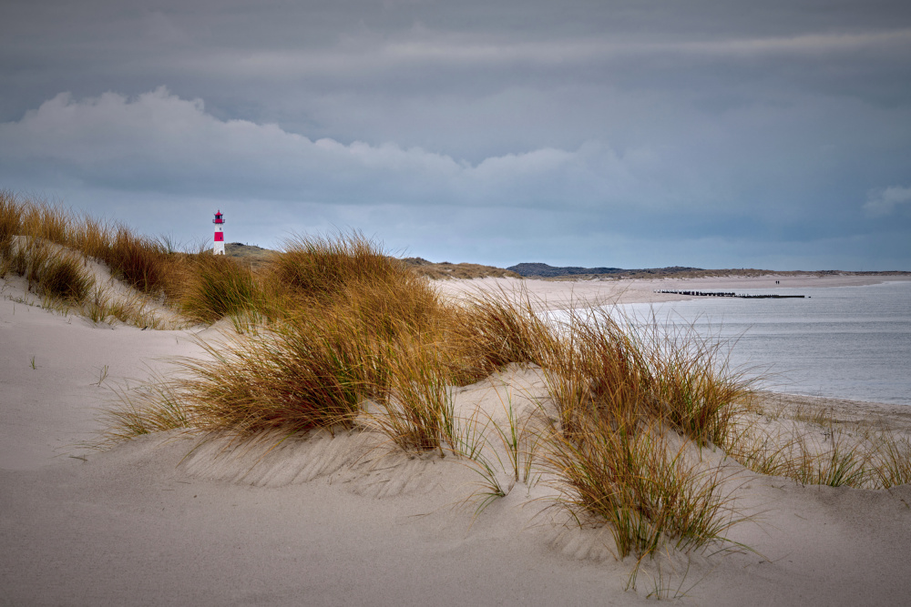 Winter at the North Sea von Bodo Balzer