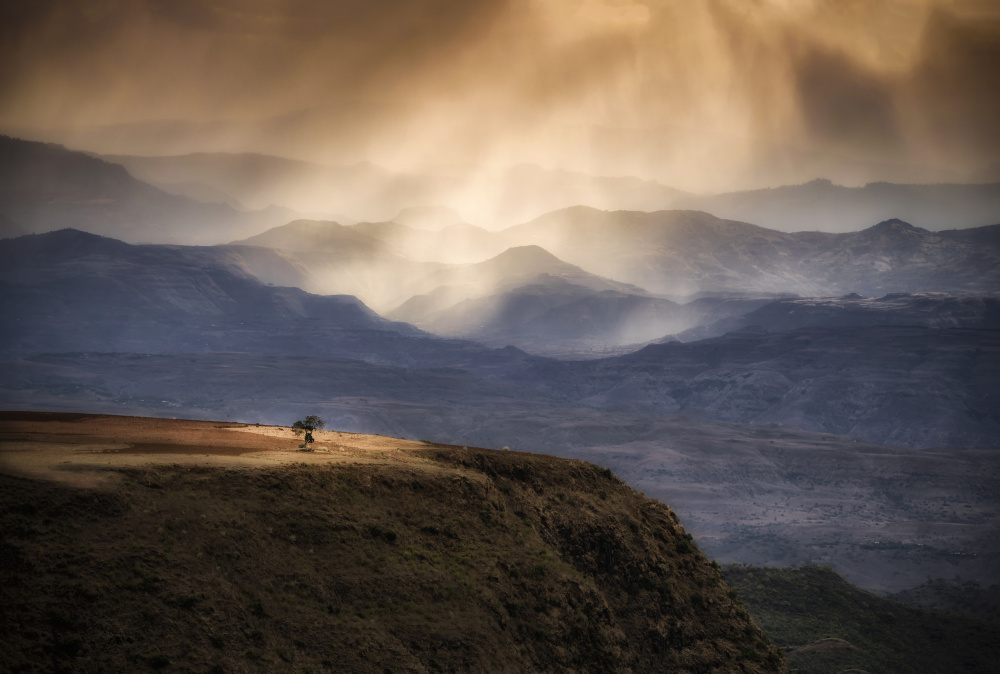 Alone. von Bogdan Timiras